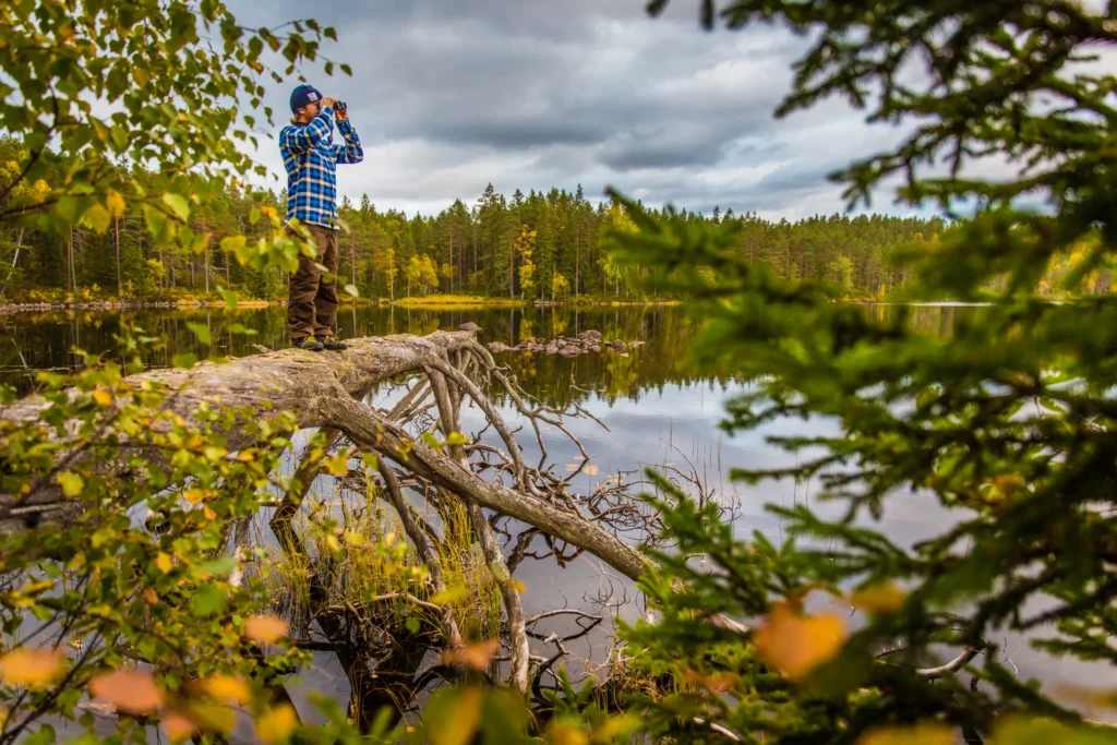 Bring Your Camera and Capture the Beauty of Nature